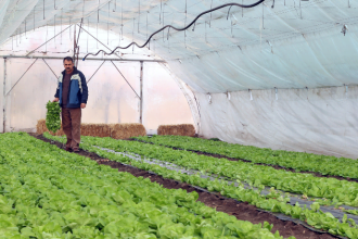 Carlos Eduardo Moraes Nunes