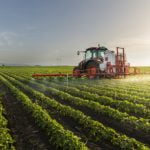 Agenor Vicente Pelissa