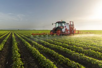 Agenor Vicente Pelissa