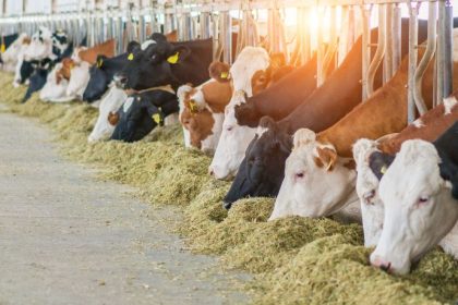 Comissão de Agropecuária da ALMT aprova relatório do leite e política de inovação tecnológica no campo impulsiona transformação no agronegócio