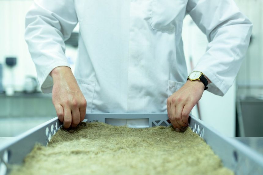 Cientista de jaleco manipula amostras em um laboratório voltado a pesquisas sustentáveis.